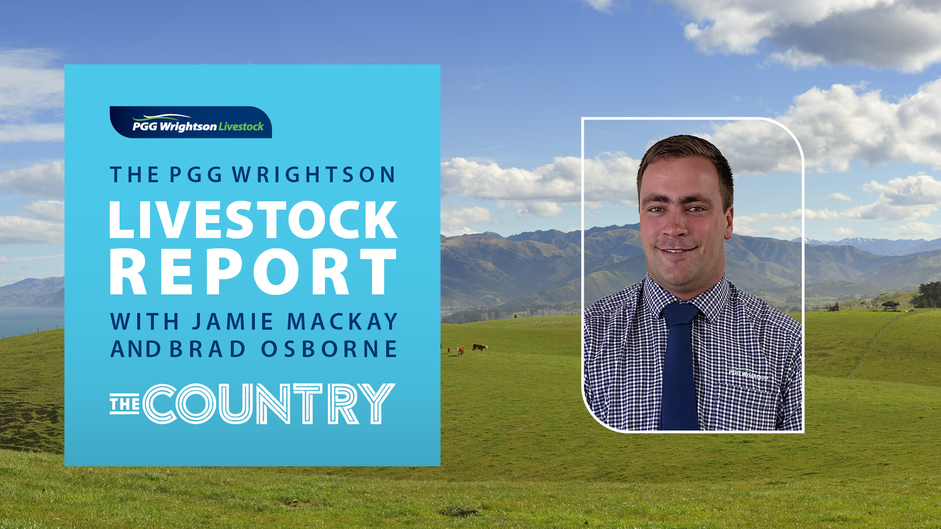 Livestock report Wet weather affecting North Island markets PGG